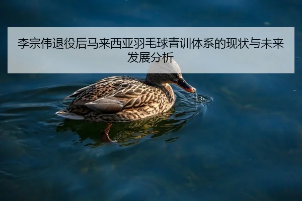 李宗伟退役后马来西亚羽毛球青训体系的现状与未来发展分析 - AIGAME SPORTS